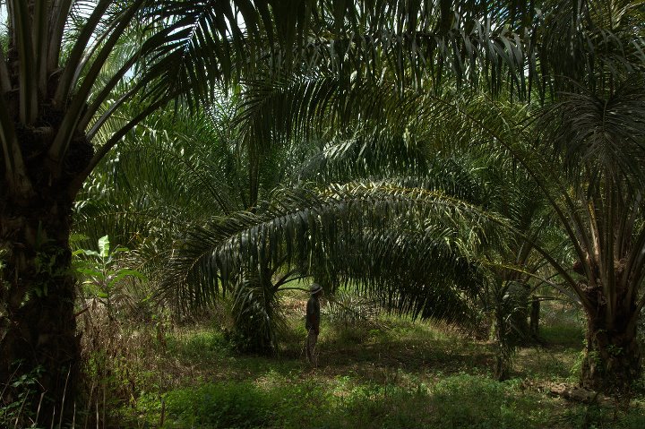 Kanak-kanak hilang dijumpai ditanam