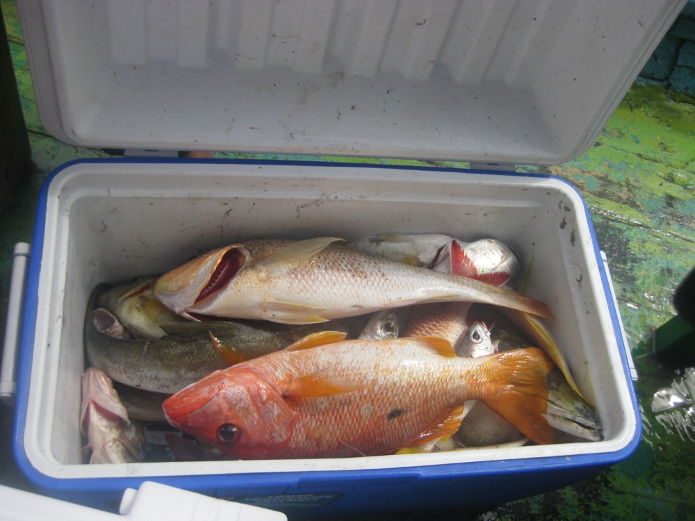 Pencurian ikan di pasar besar Kuala Krai