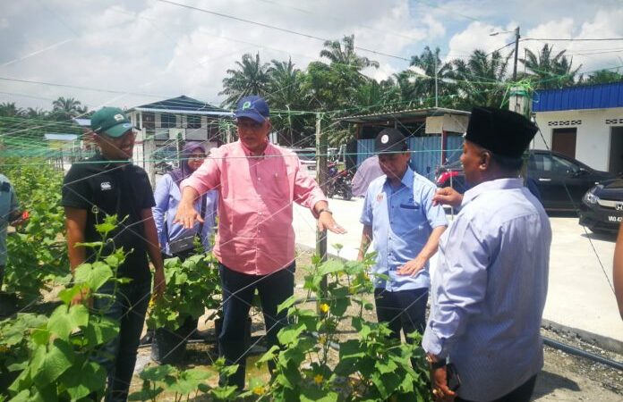 Orang muda profesional perlu ceburi bidang pertanian