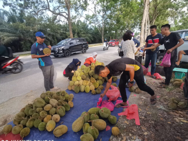 Durian serendah RM7 laku keras musim panas